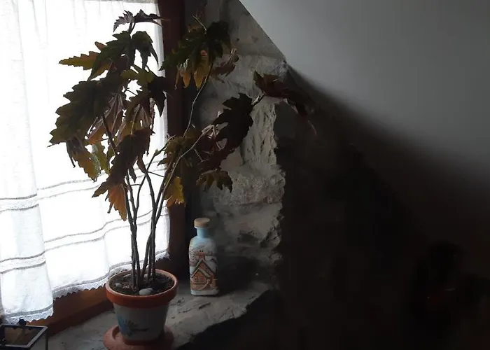 Casa Antonio Y Benina *